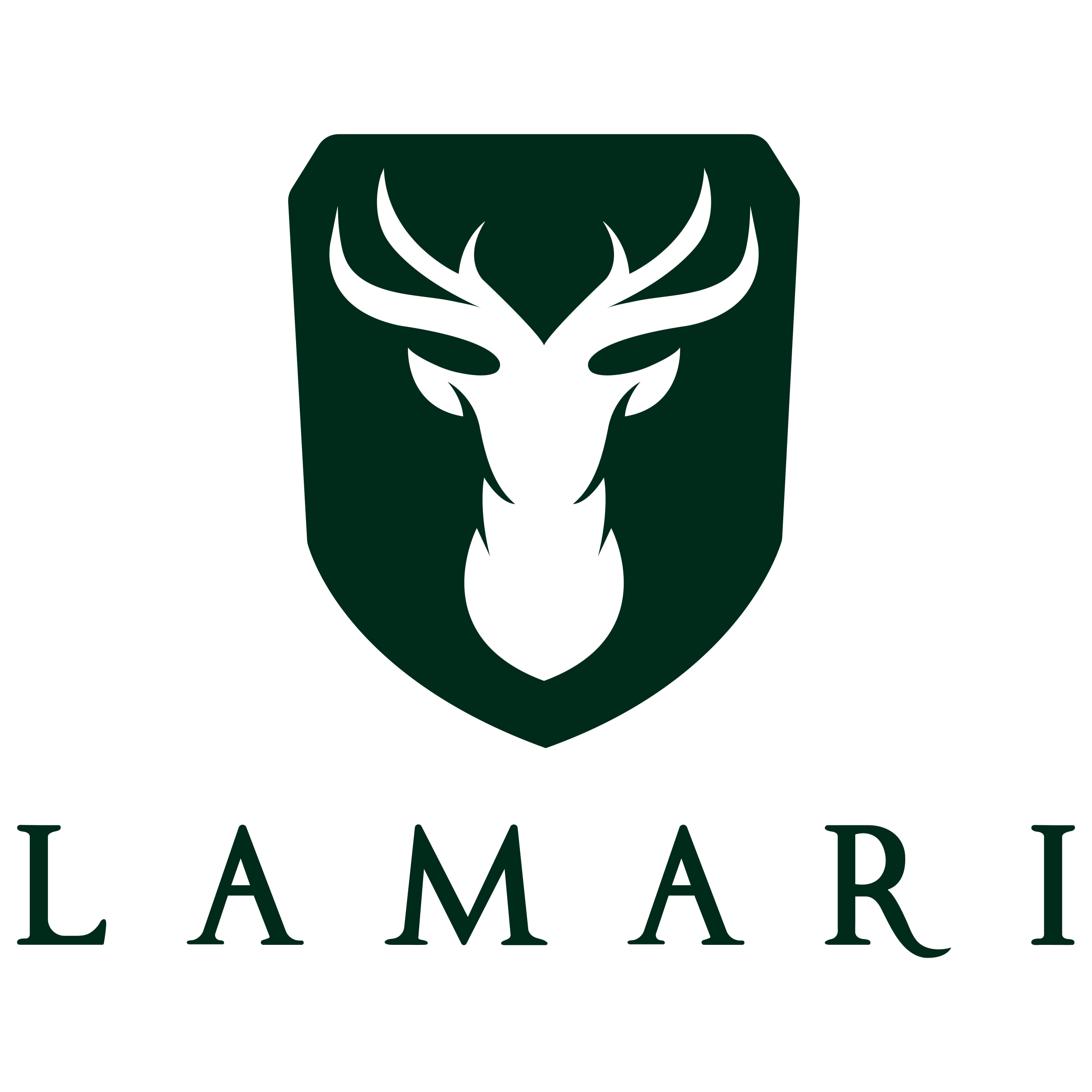 Lamari scaled